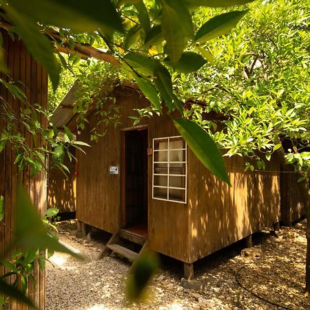 Olympos Yakamoz Pansiyon מראה חיצוני תמונה