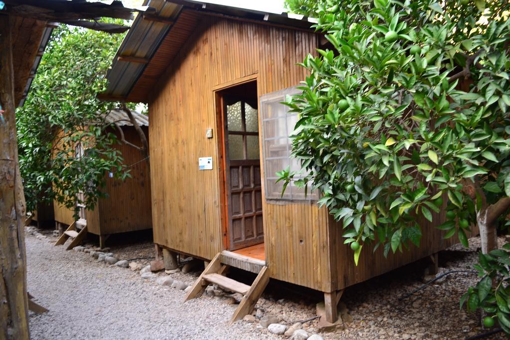 Olympos Yakamoz Pansiyon חדר תמונה