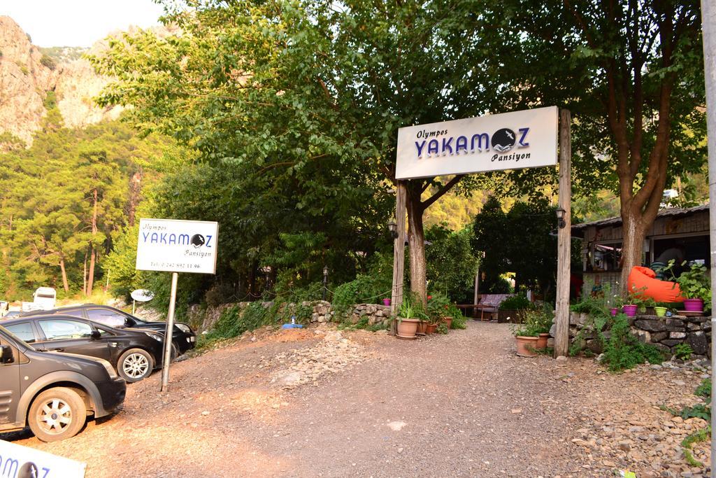 Olympos Yakamoz Pansiyon מראה חיצוני תמונה