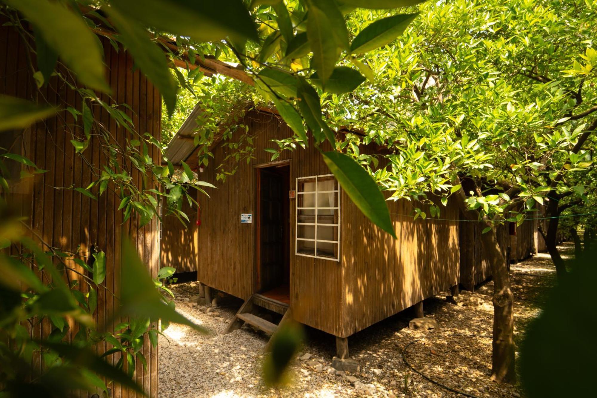 Olympos Yakamoz Pansiyon מראה חיצוני תמונה