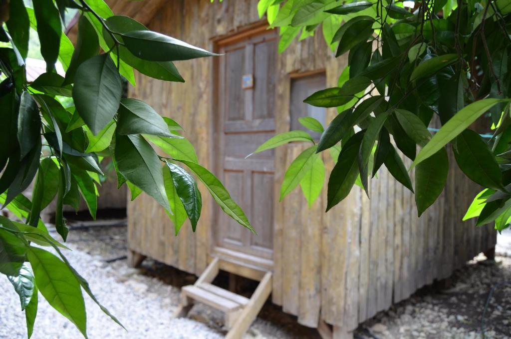 Olympos Yakamoz Pansiyon חדר תמונה