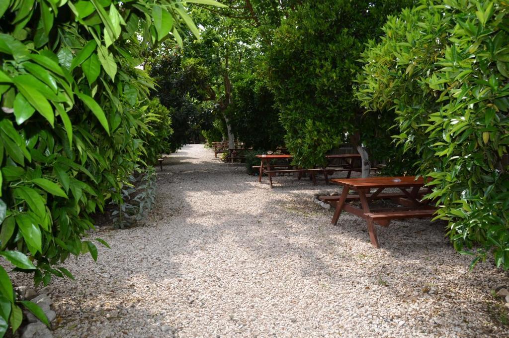 Olympos Yakamoz Pansiyon מראה חיצוני תמונה