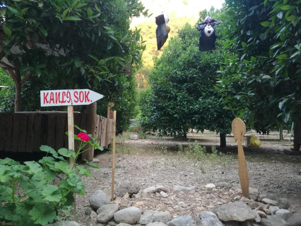 Olympos Yakamoz Pansiyon מראה חיצוני תמונה