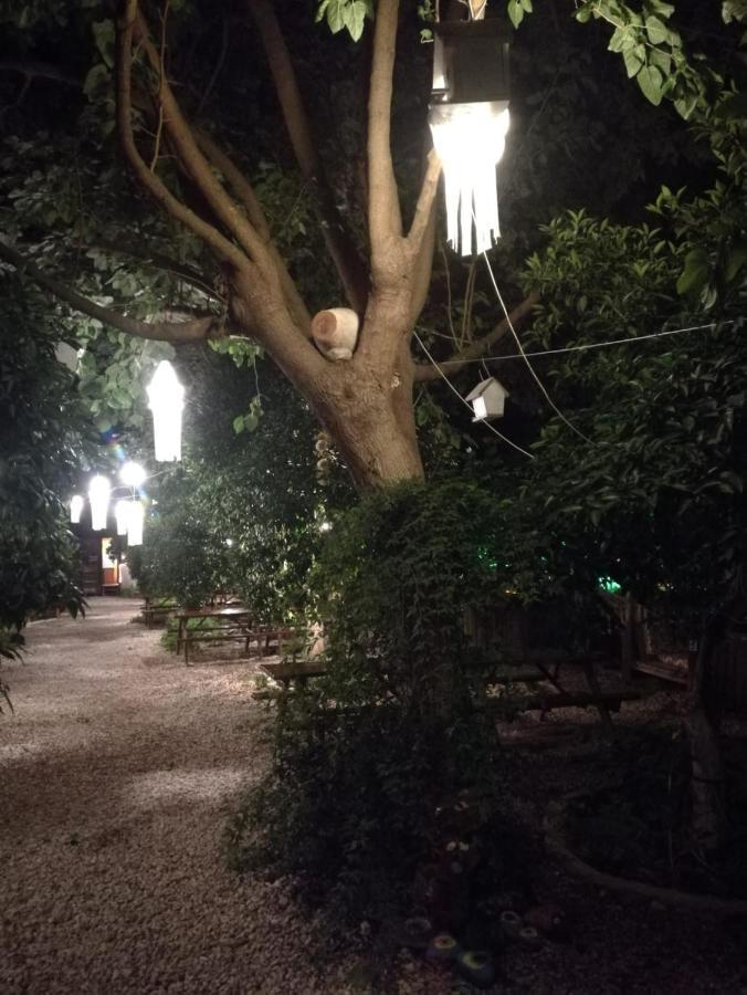 Olympos Yakamoz Pansiyon מראה חיצוני תמונה