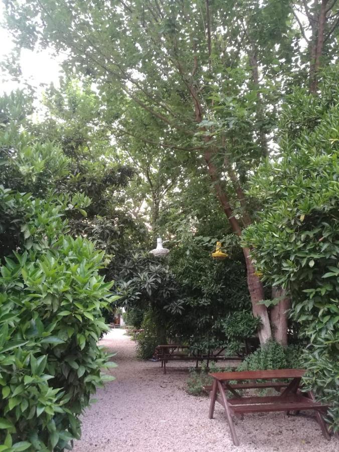 Olympos Yakamoz Pansiyon מראה חיצוני תמונה