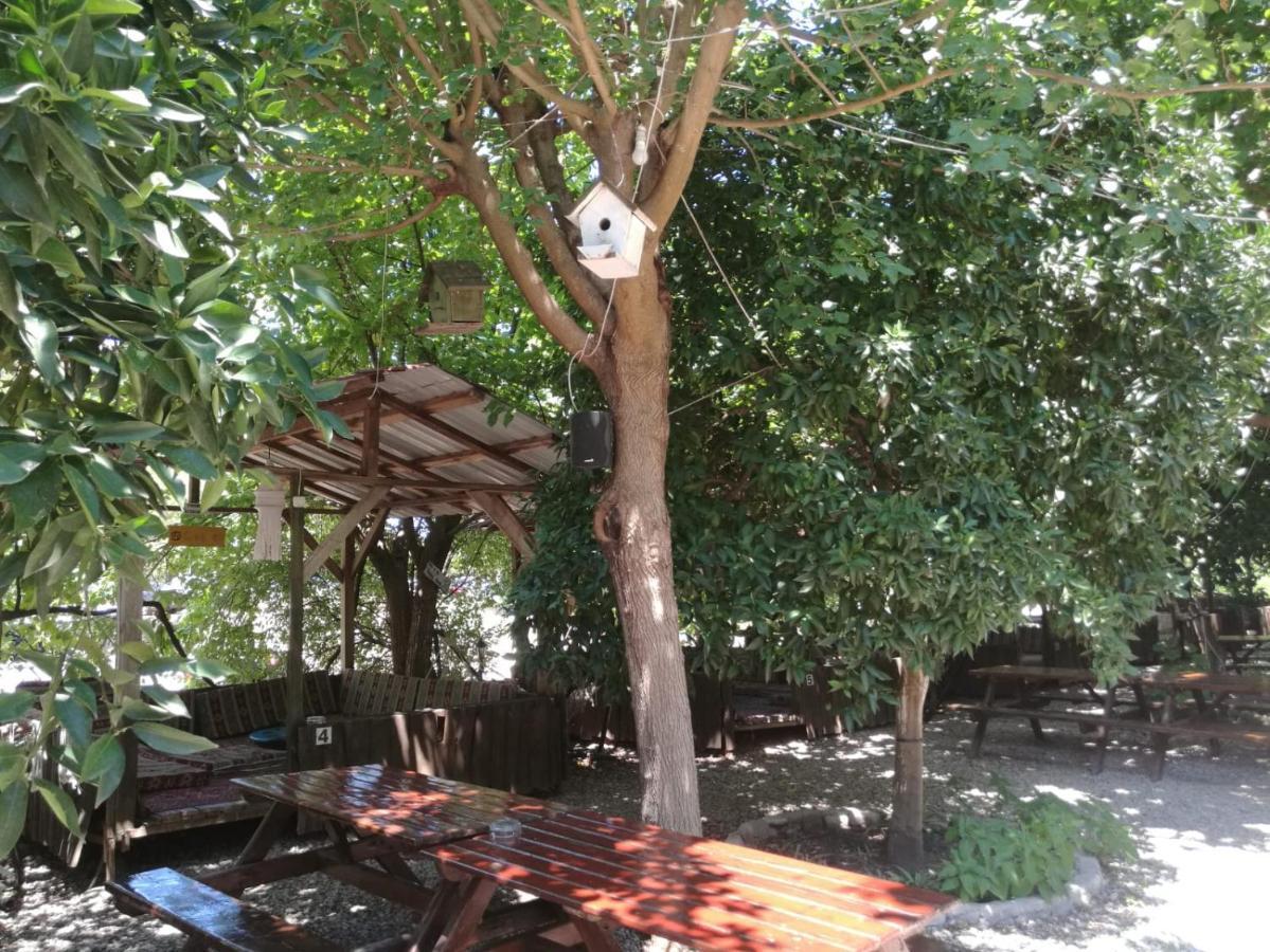 Olympos Yakamoz Pansiyon מראה חיצוני תמונה
