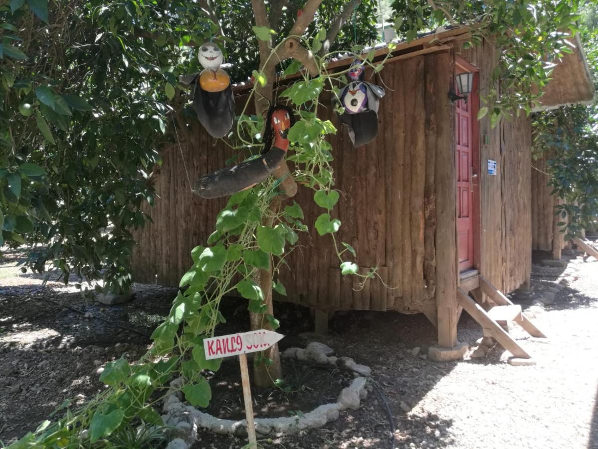 Olympos Yakamoz Pansiyon מראה חיצוני תמונה
