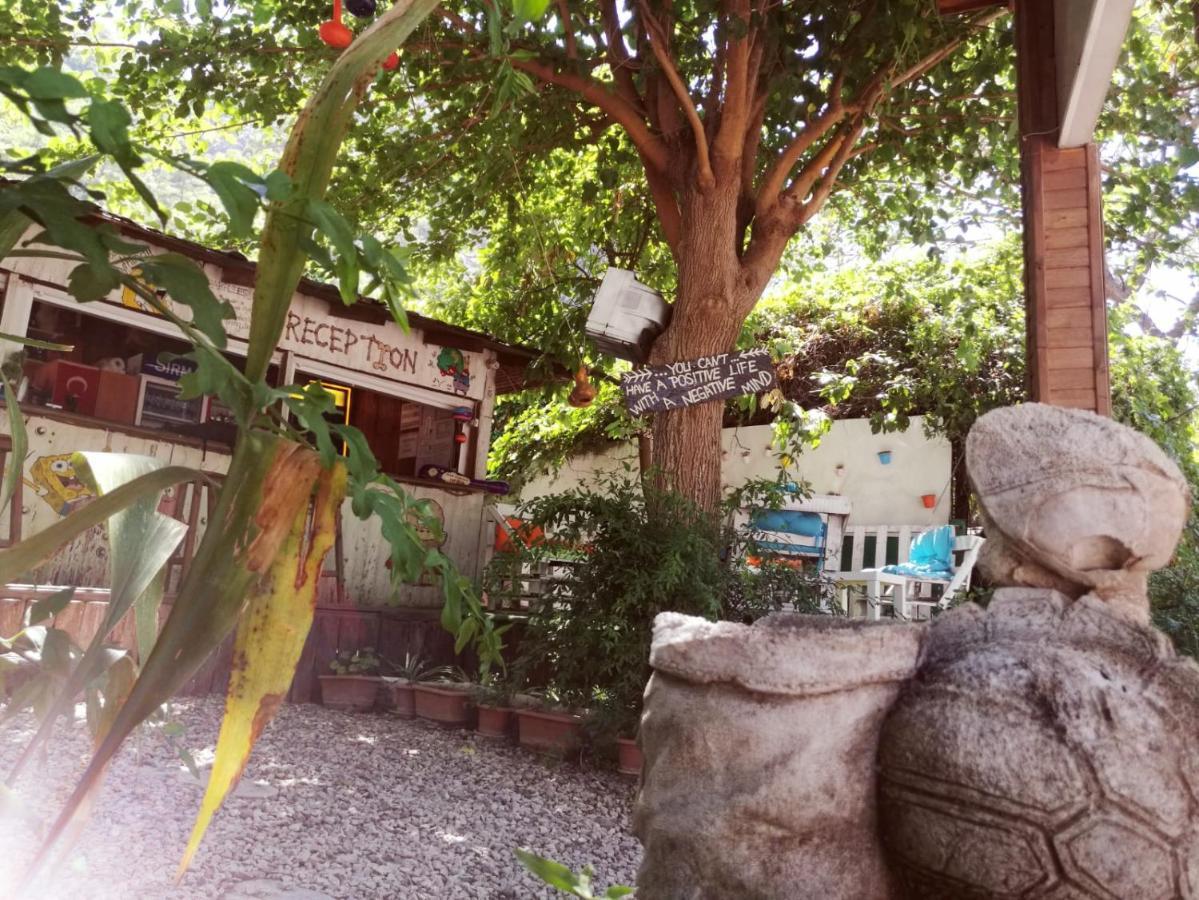 Olympos Yakamoz Pansiyon מראה חיצוני תמונה