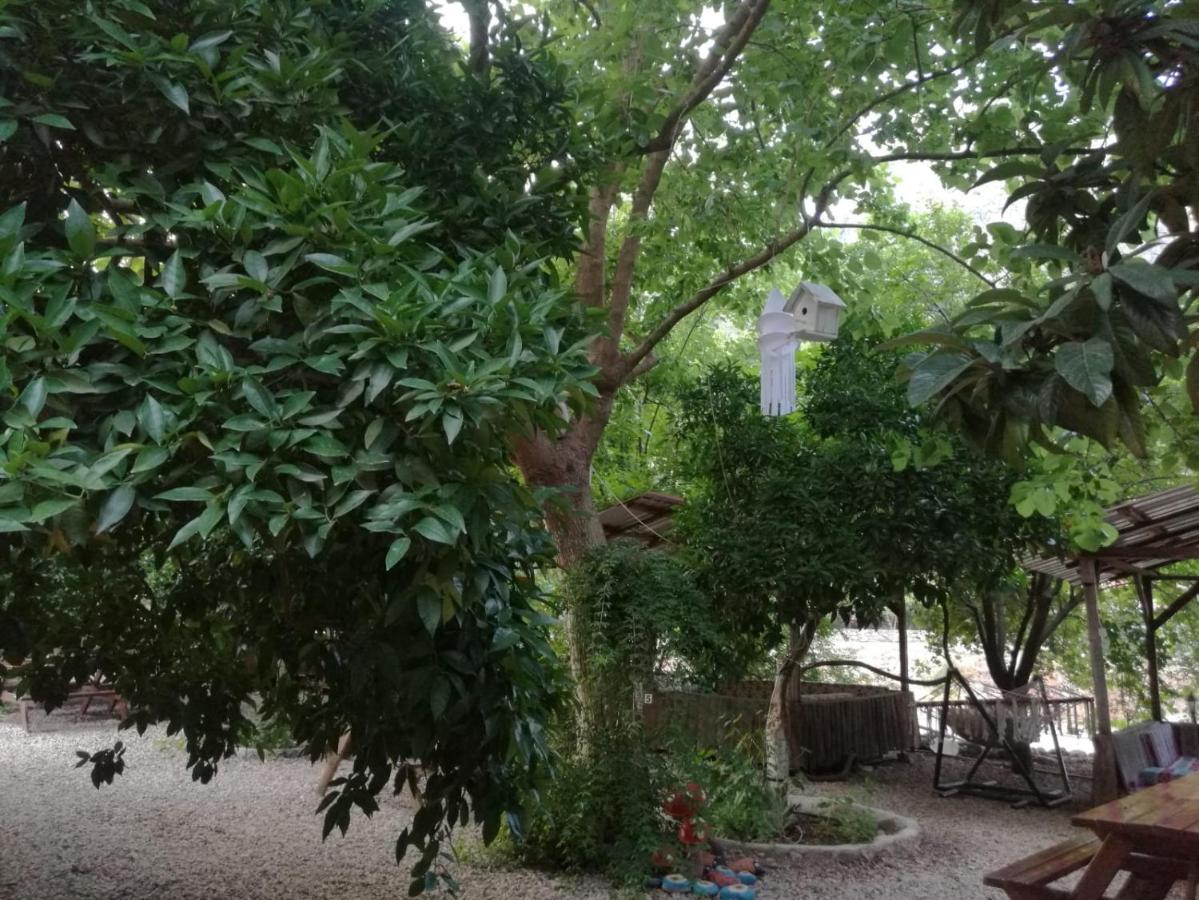Olympos Yakamoz Pansiyon מראה חיצוני תמונה