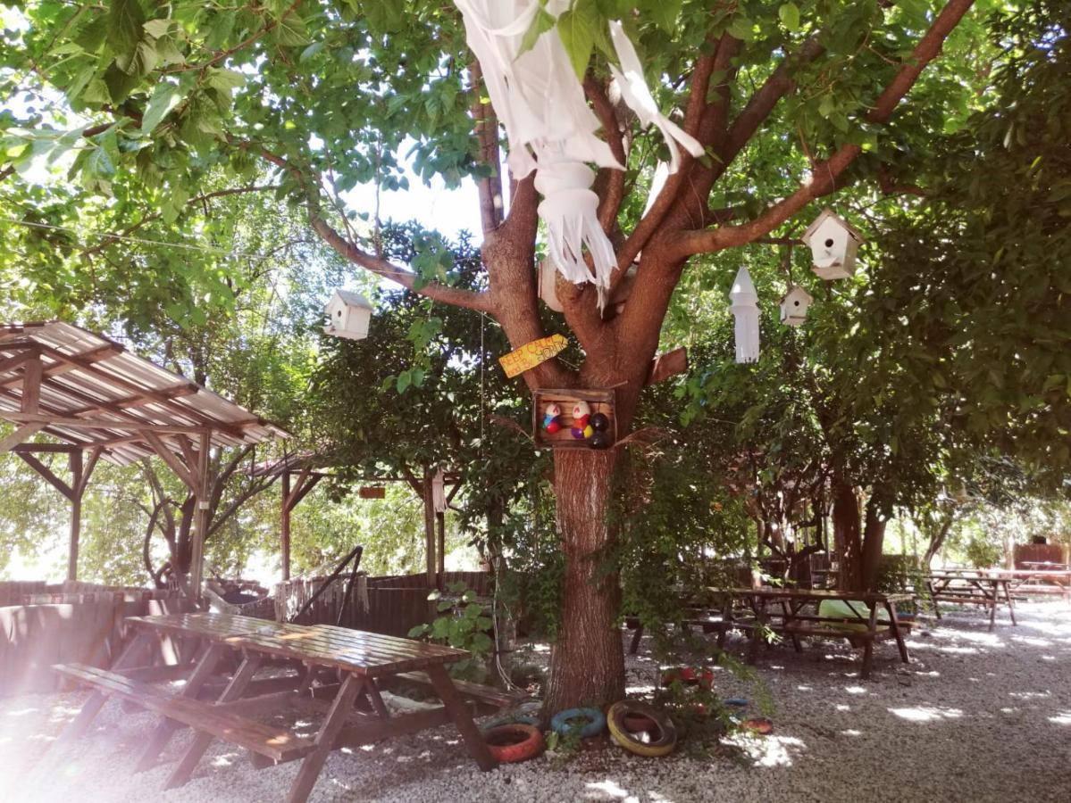 Olympos Yakamoz Pansiyon מראה חיצוני תמונה